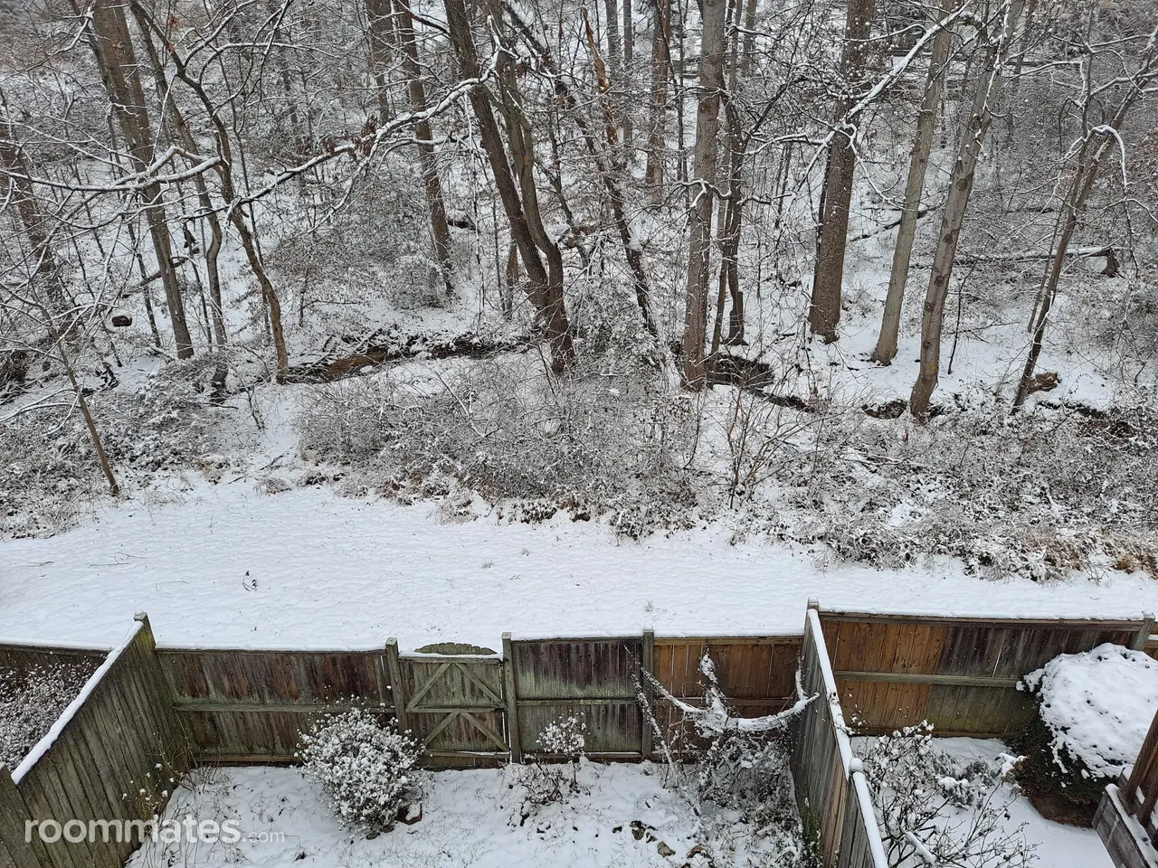 Profile photo 7 of 10