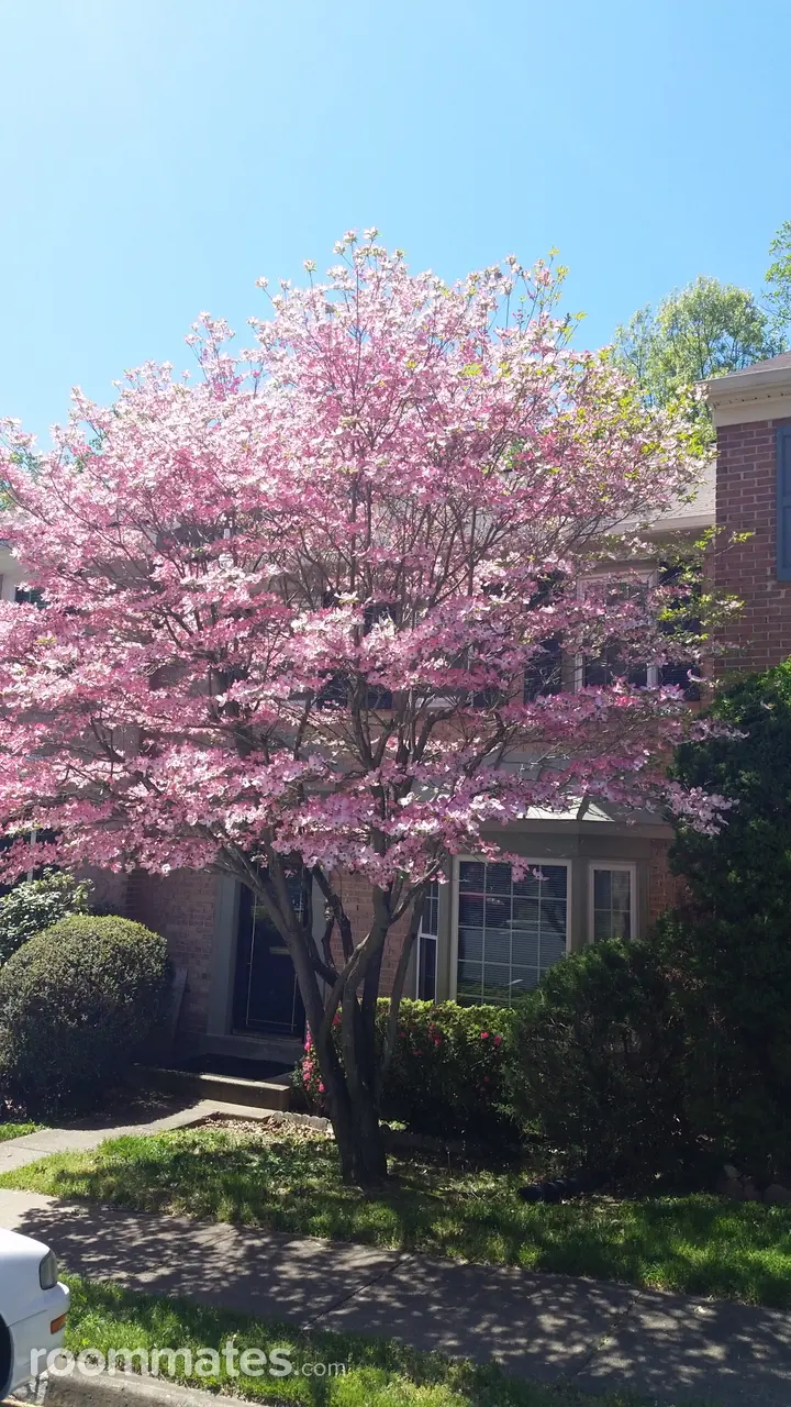 Profile photo 2 of 10