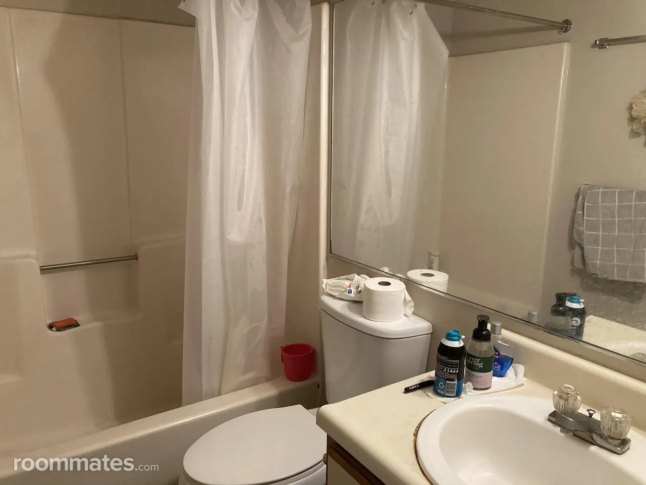 Profile photo 10 of 11