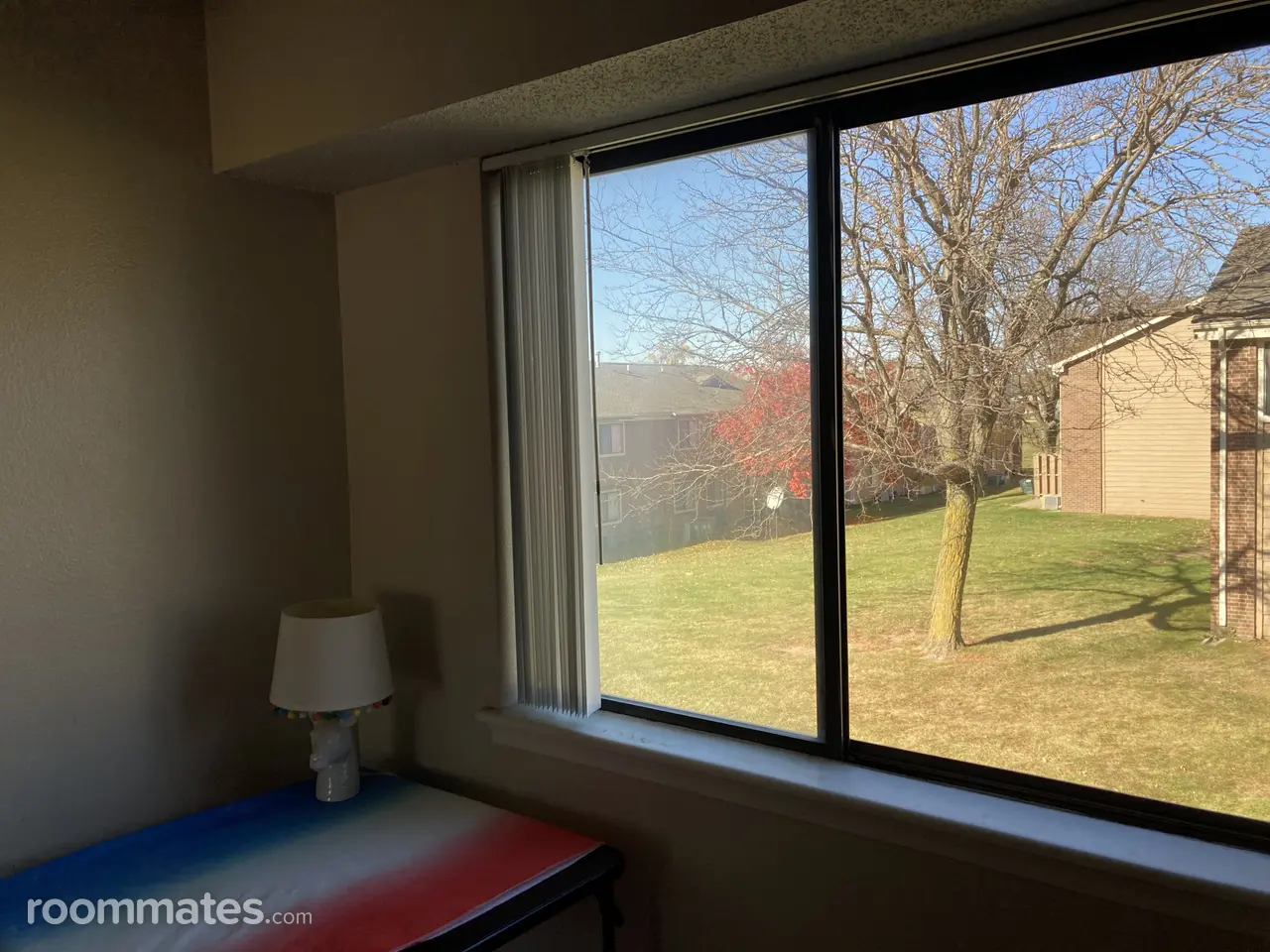 Profile photo 4 of 11