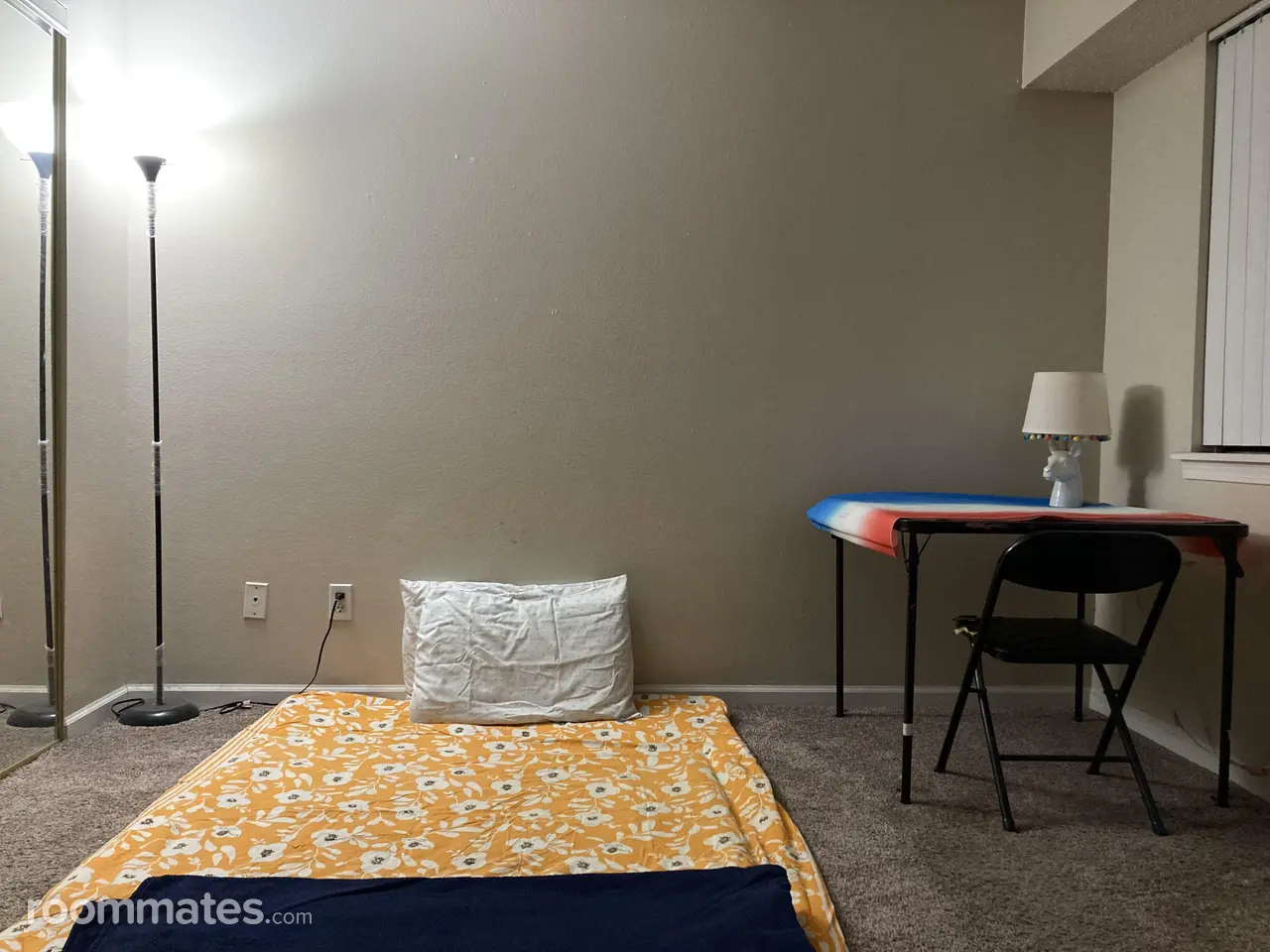 Profile photo 9 of 11