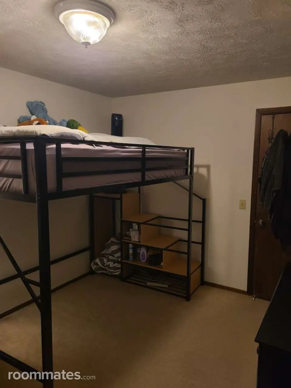 Profile photo 4 of 6