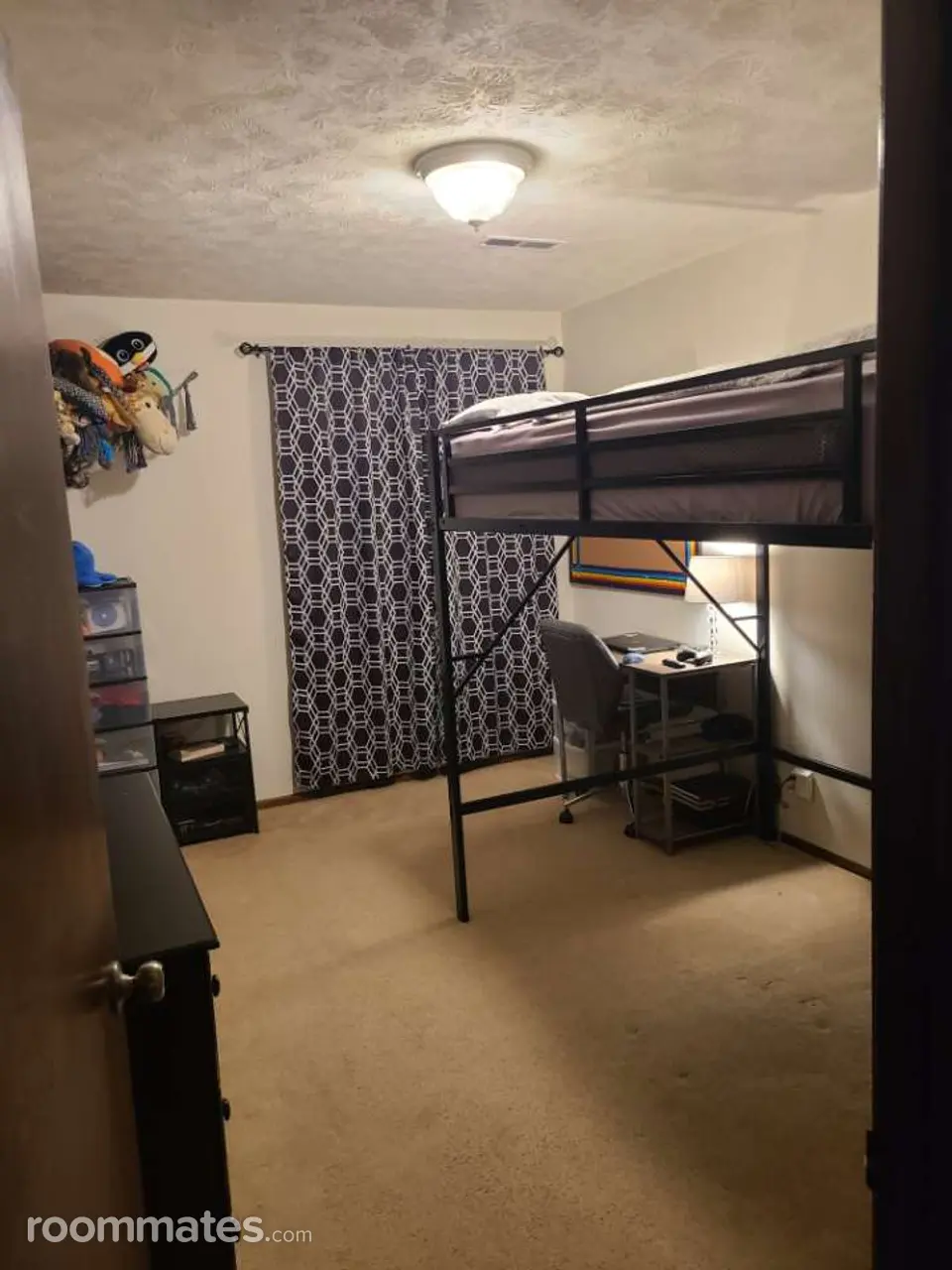 Profile photo 3 of 6