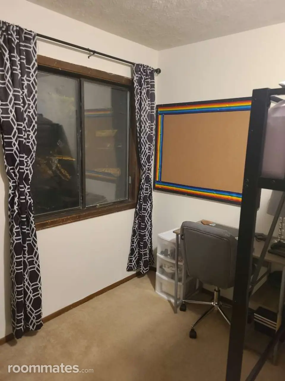 Profile photo 5 of 6