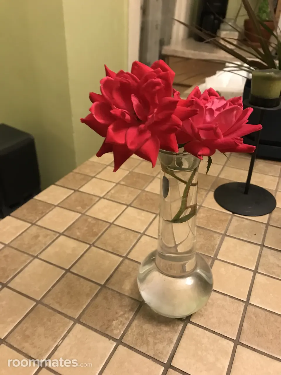 Profile photo 5 of 7