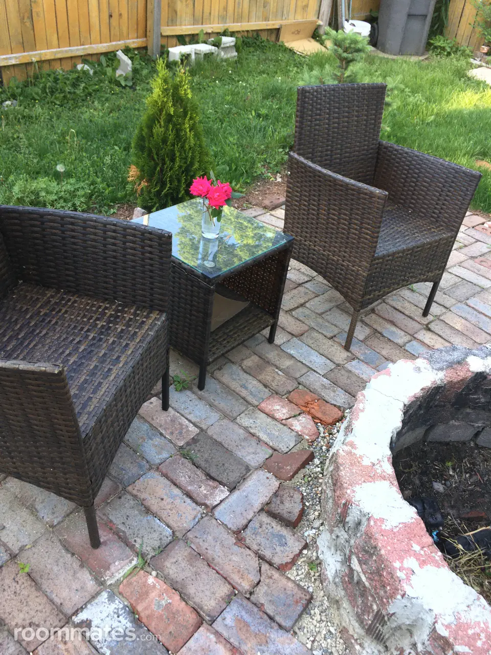 Profile photo 6 of 7