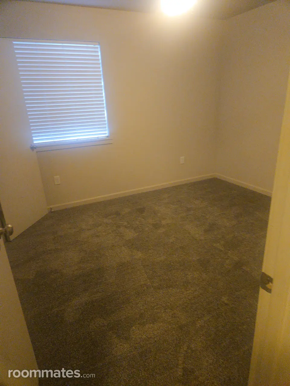 Profile photo 3 of 8