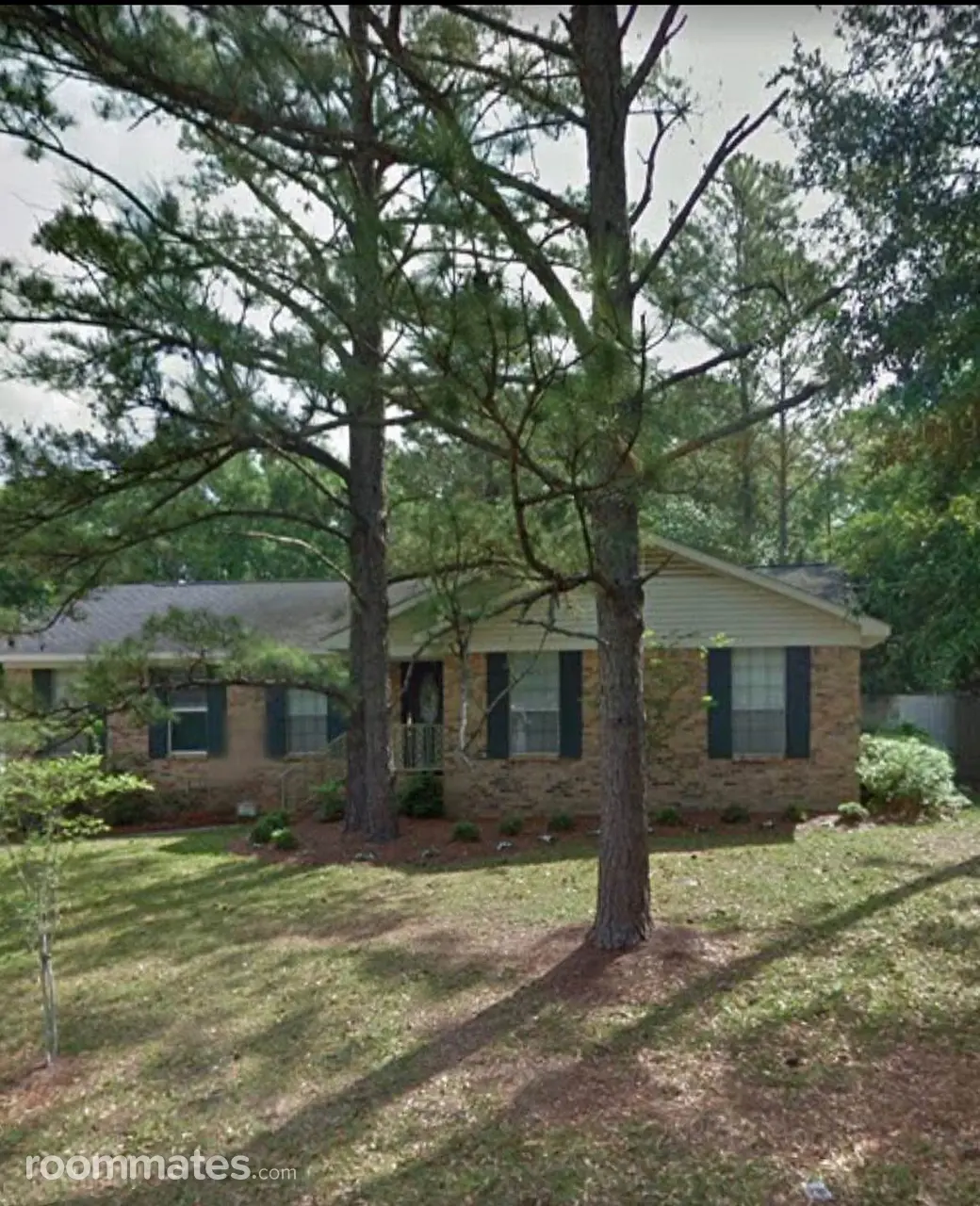 Profile photo 1 of 4