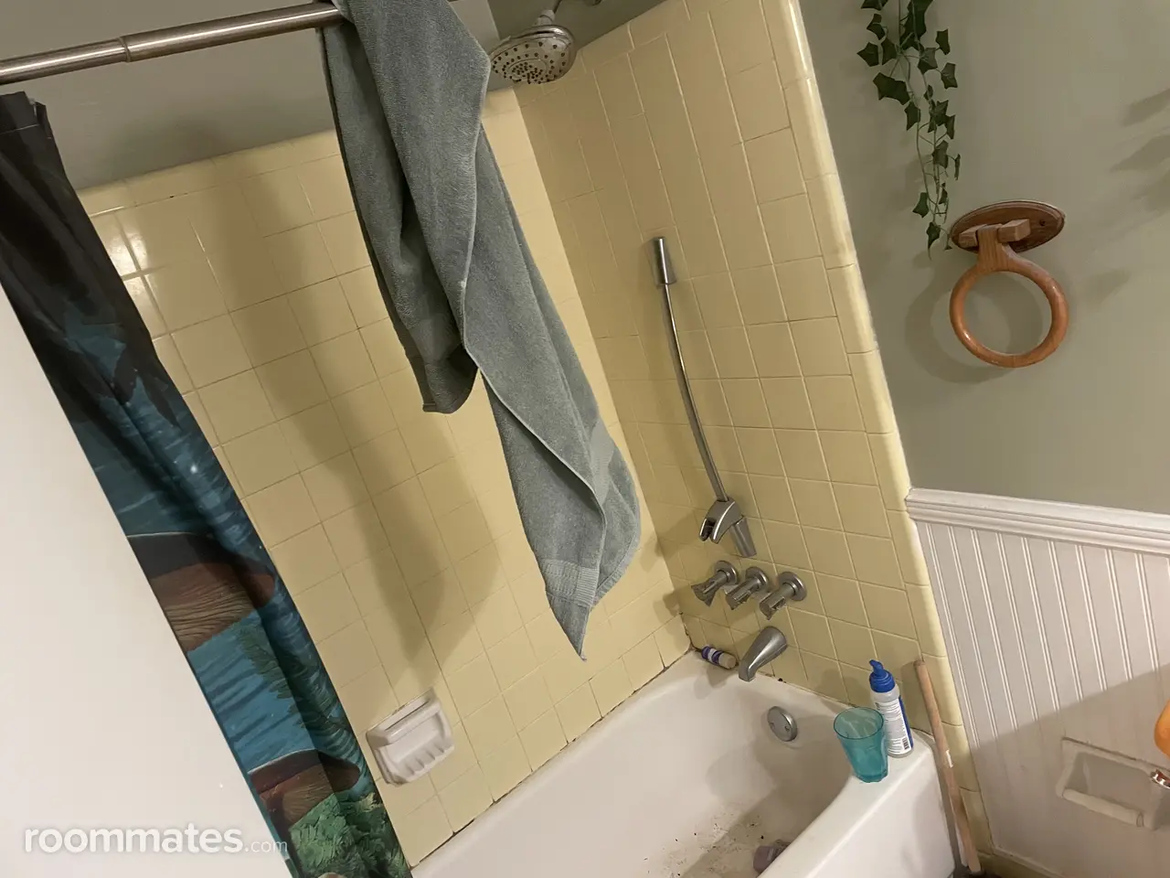 Profile photo 3 of 4