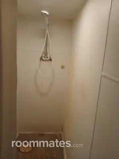 Room for rent in Campbell, OH $700, house