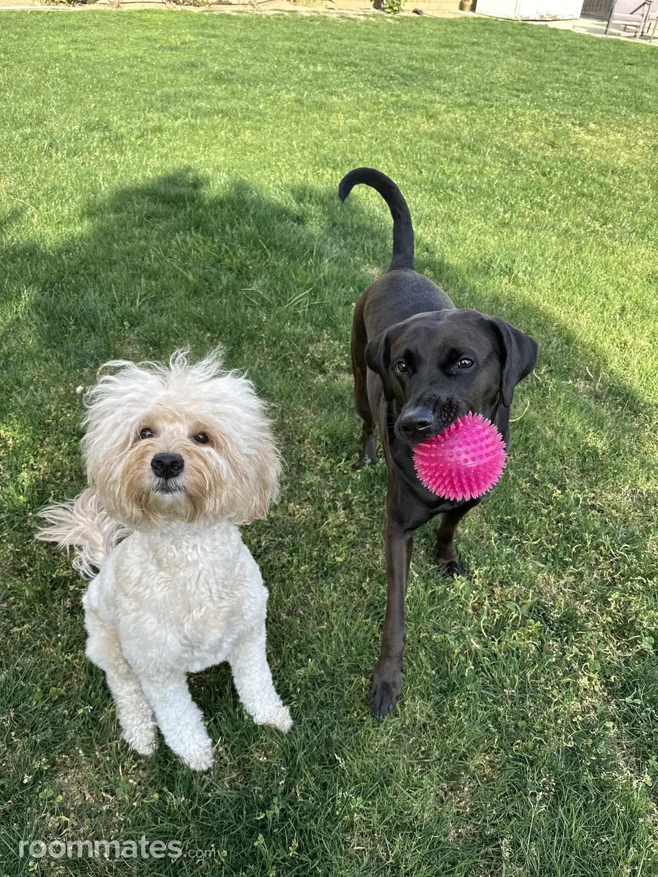 Profile photo 8 of 10