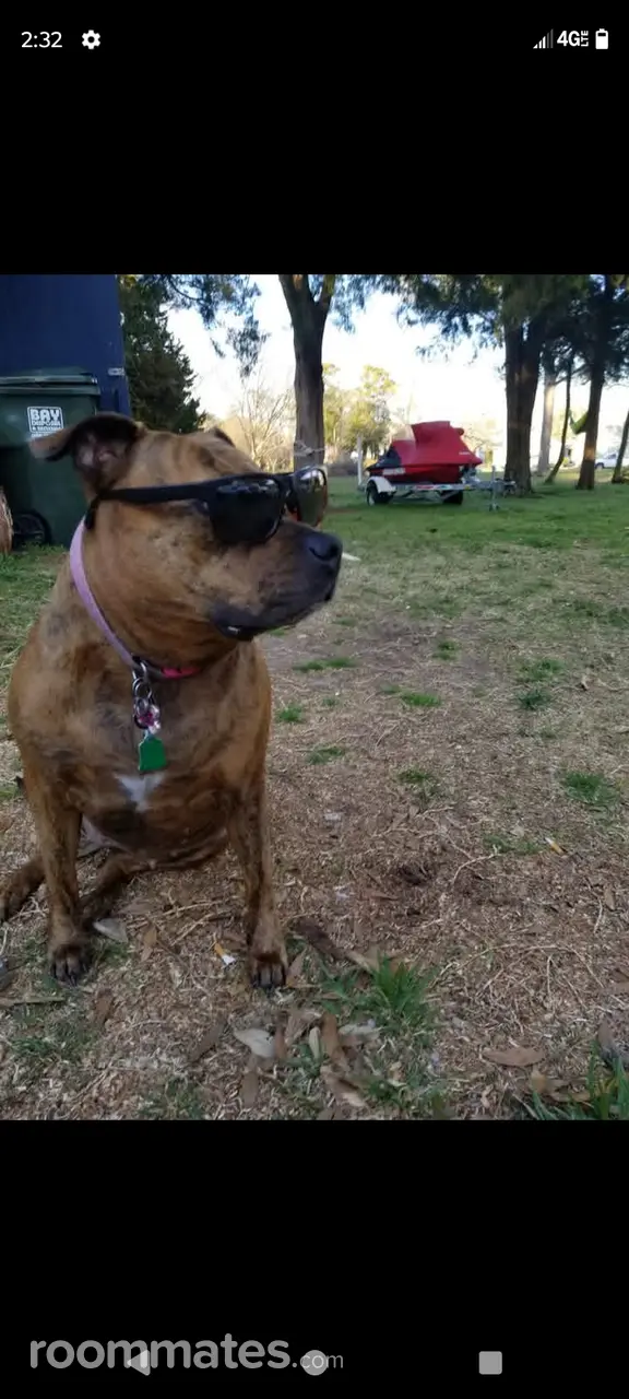 Profile photo 7 of 7