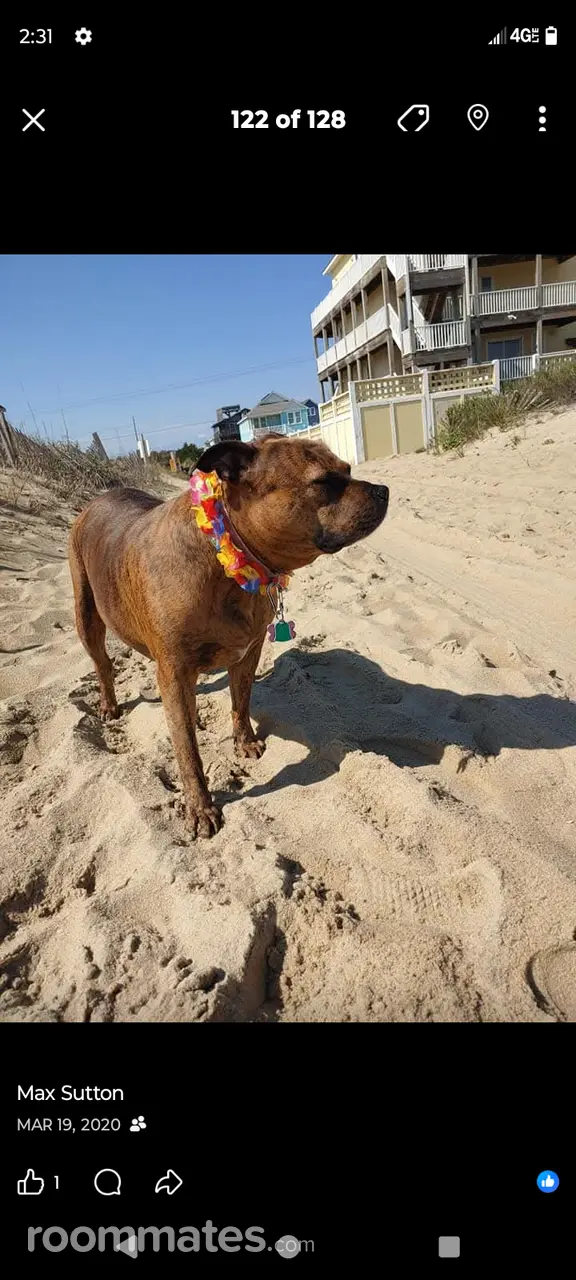 Profile photo 6 of 7