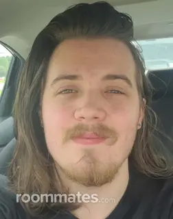 Roommate looking Orange Park, FL, $700