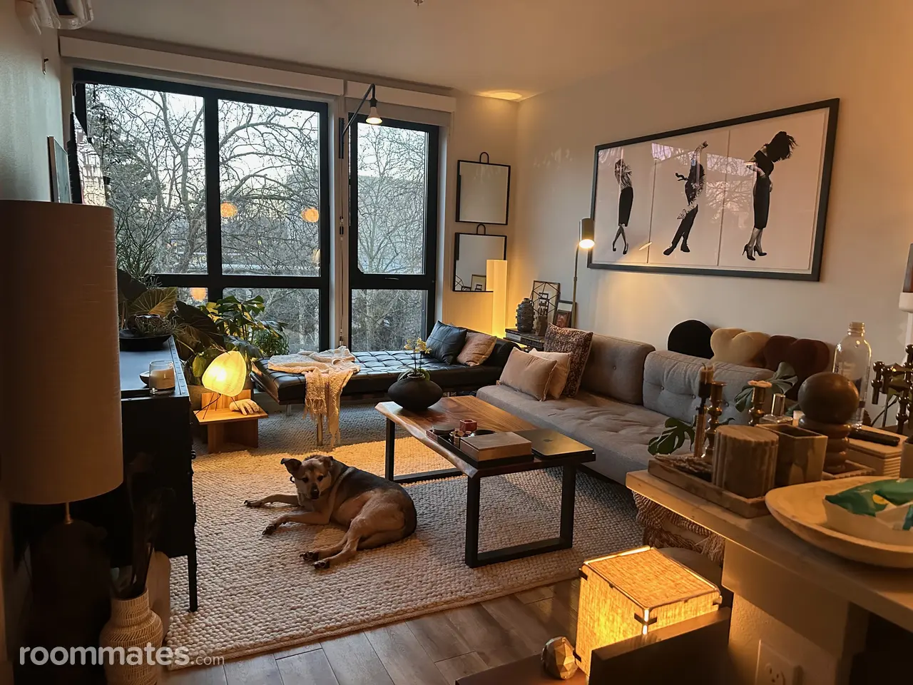 Profile photo 5 of 13