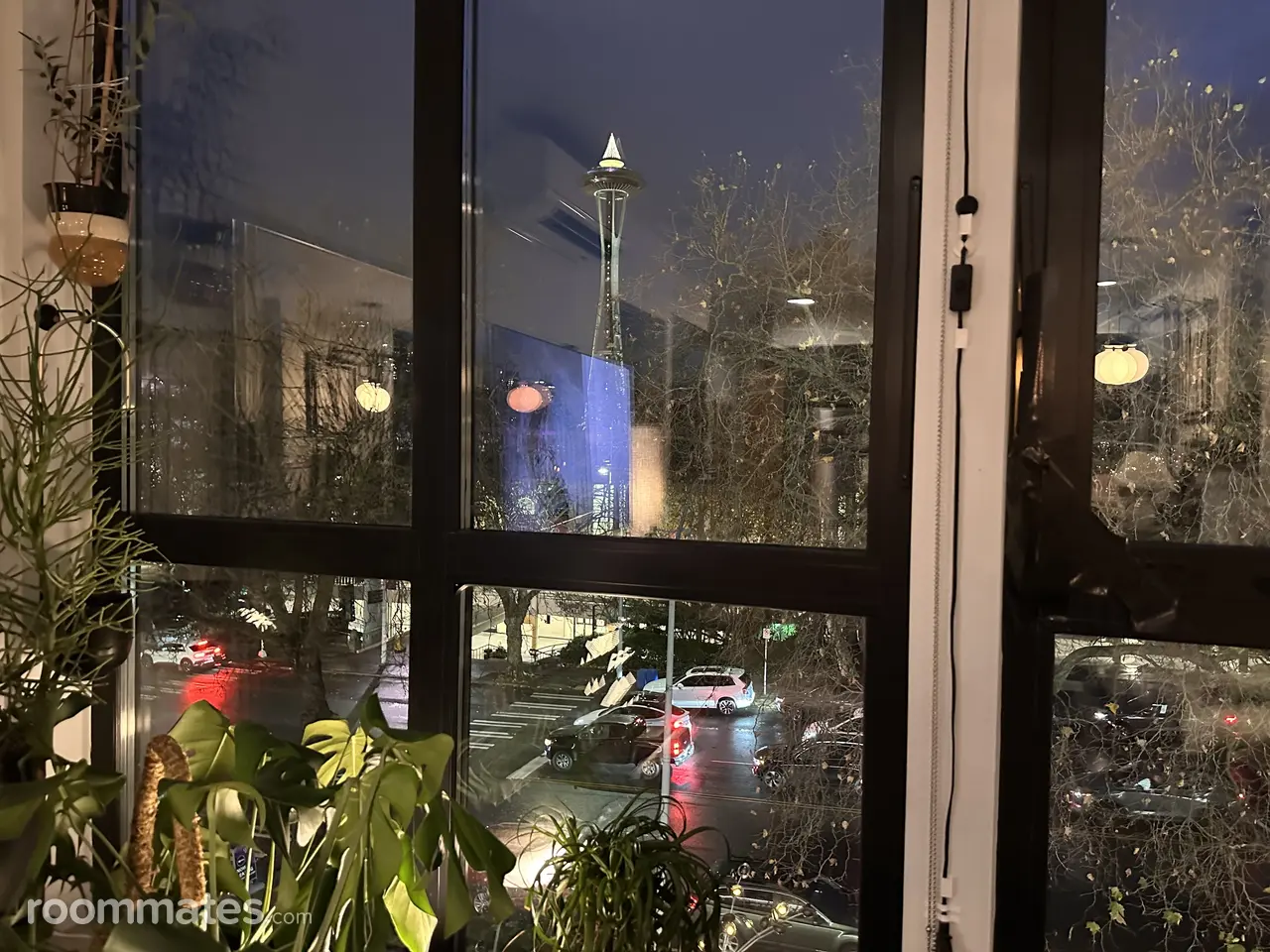 Profile photo 4 of 13