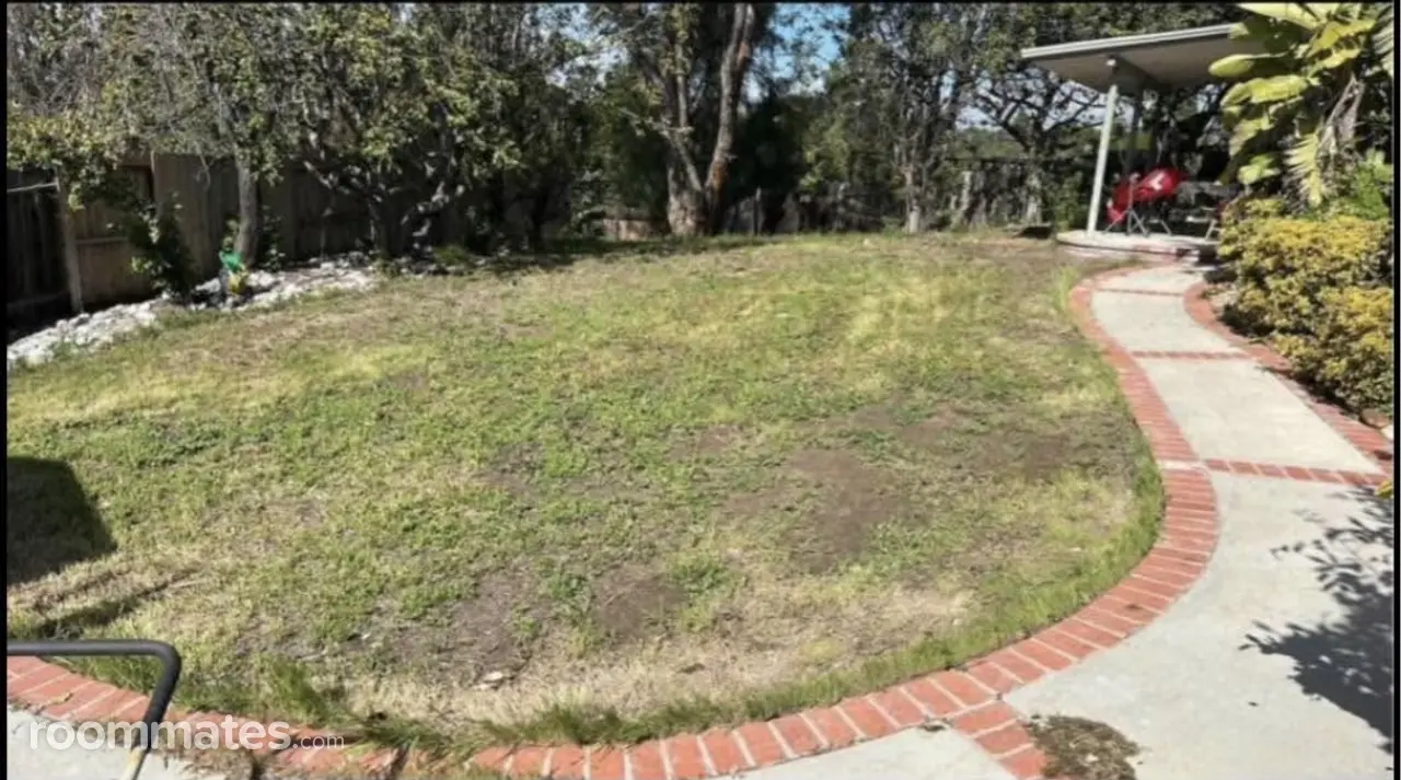 Profile photo 9 of 12