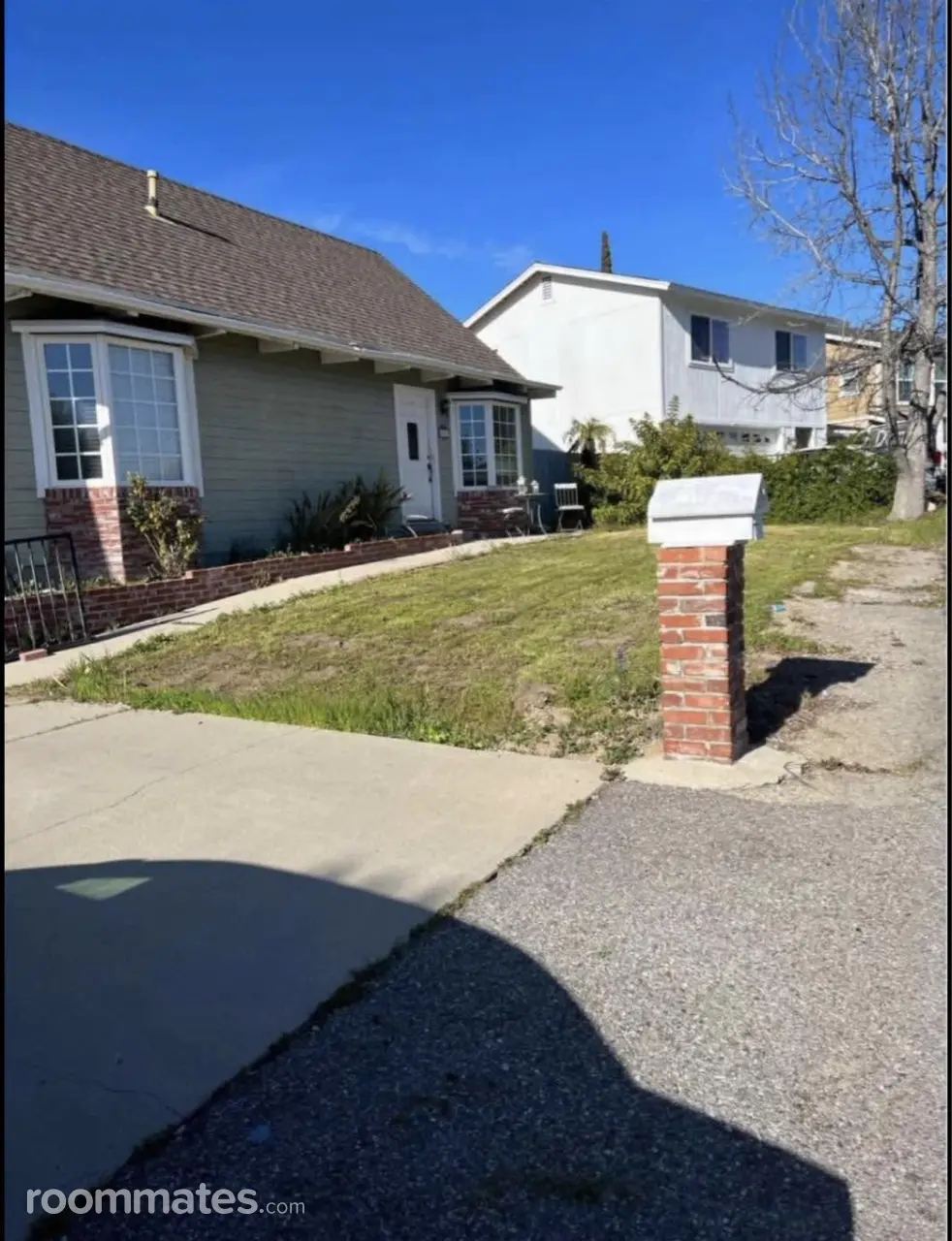 Profile photo 10 of 12