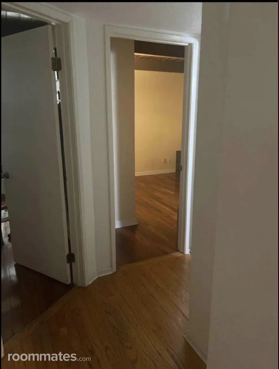 Profile photo 4 of 12