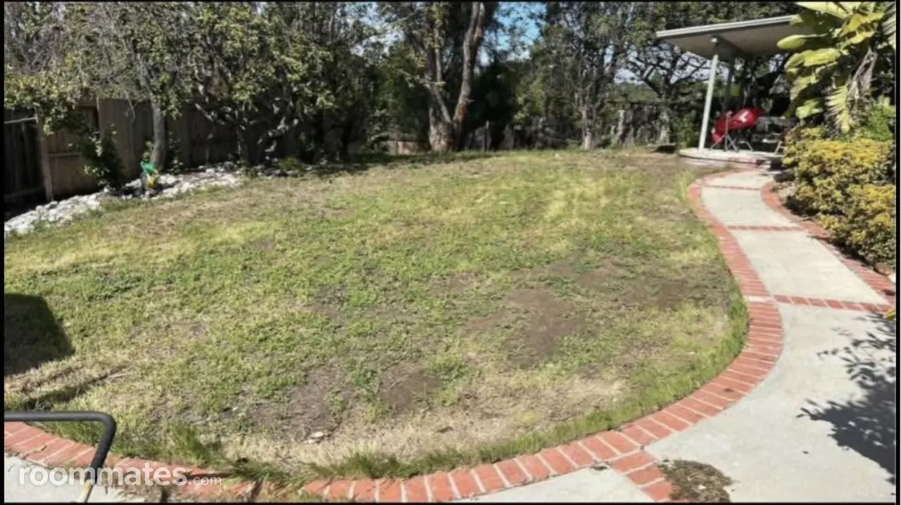 Profile photo 5 of 8