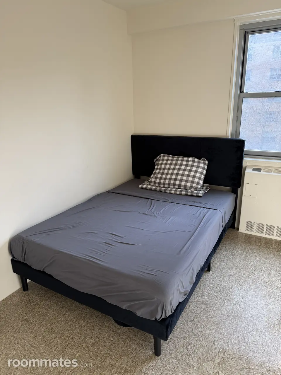 Profile photo 2 of 6