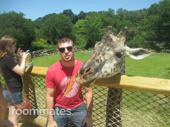 Roommate looking Orlando, FL, $1000