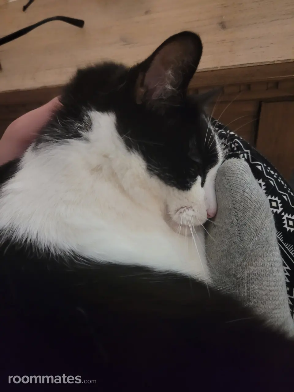 Profile photo 17 of 18