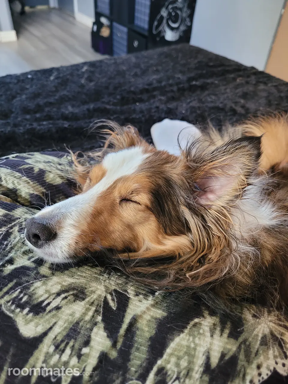 Profile photo 12 of 18