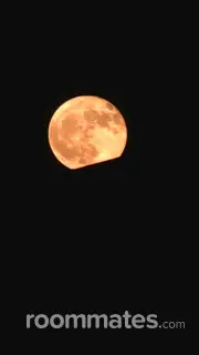 Roommate looking Concord, NH, $700