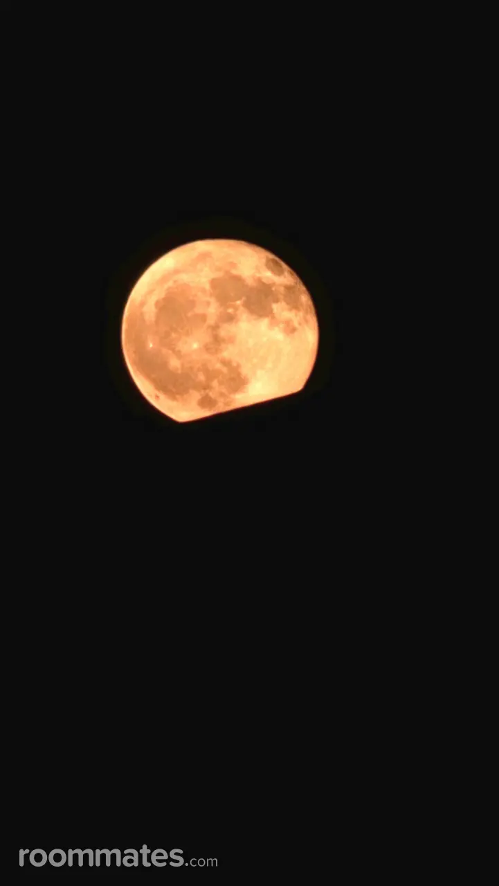 Profile photo 1 of 1