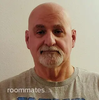 Roommate looking Madison, WI, $700