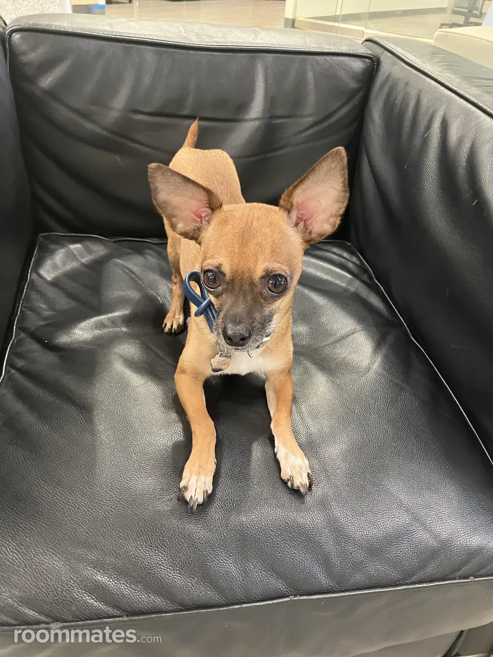 Profile photo 3 of 3