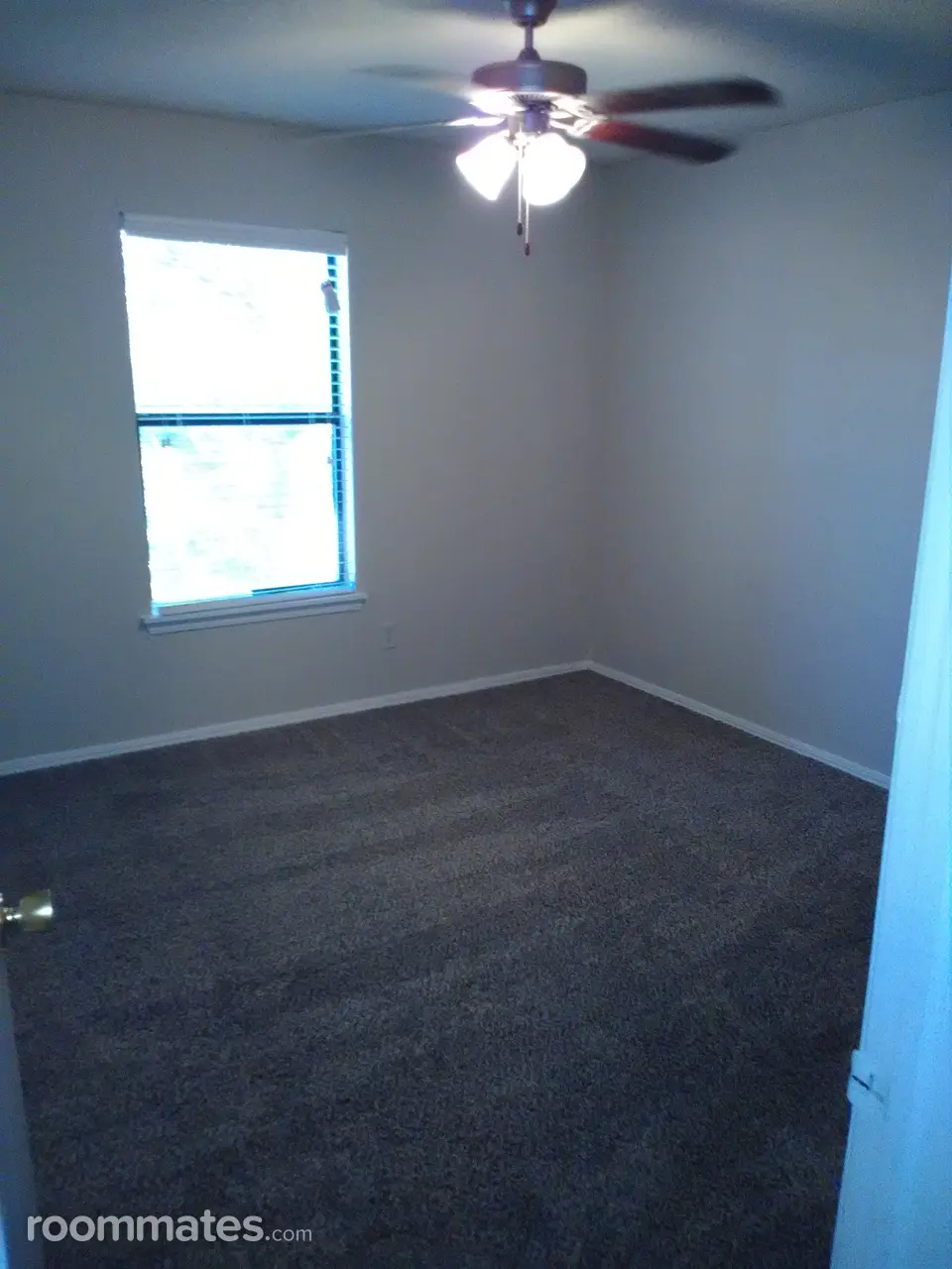 Profile photo 7 of 8