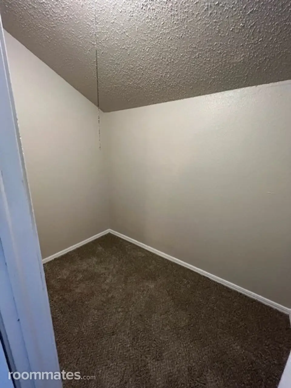 Profile photo 6 of 8