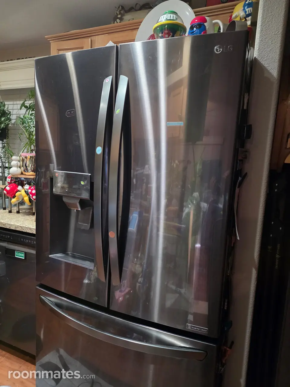 Profile photo 10 of 12