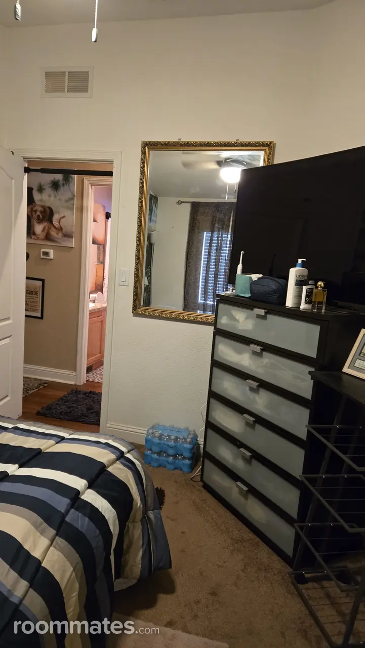 Profile photo 5 of 12