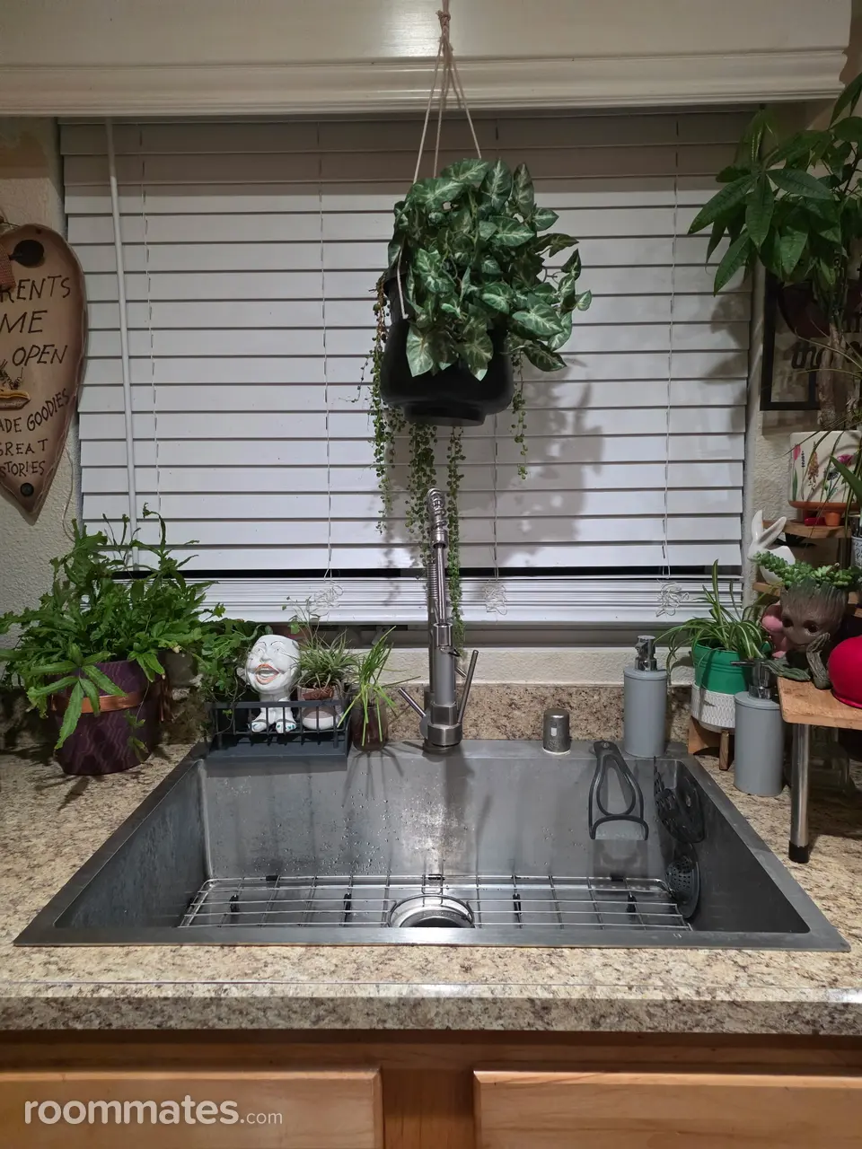 Profile photo 2 of 12