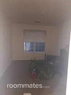 Room for rent in Indianapolis, IN $500, apartment