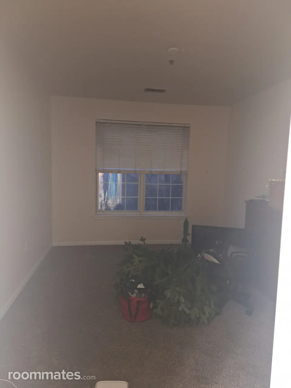 Profile photo 1 of 7