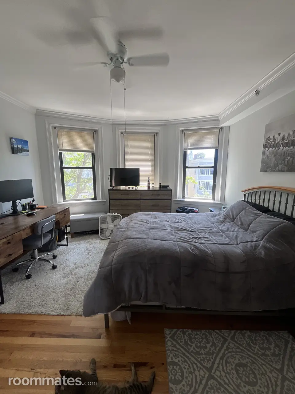 Profile photo 8 of 10