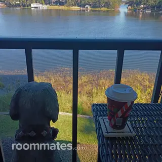 Room for rent in Ocoee, FL $850, townhouse