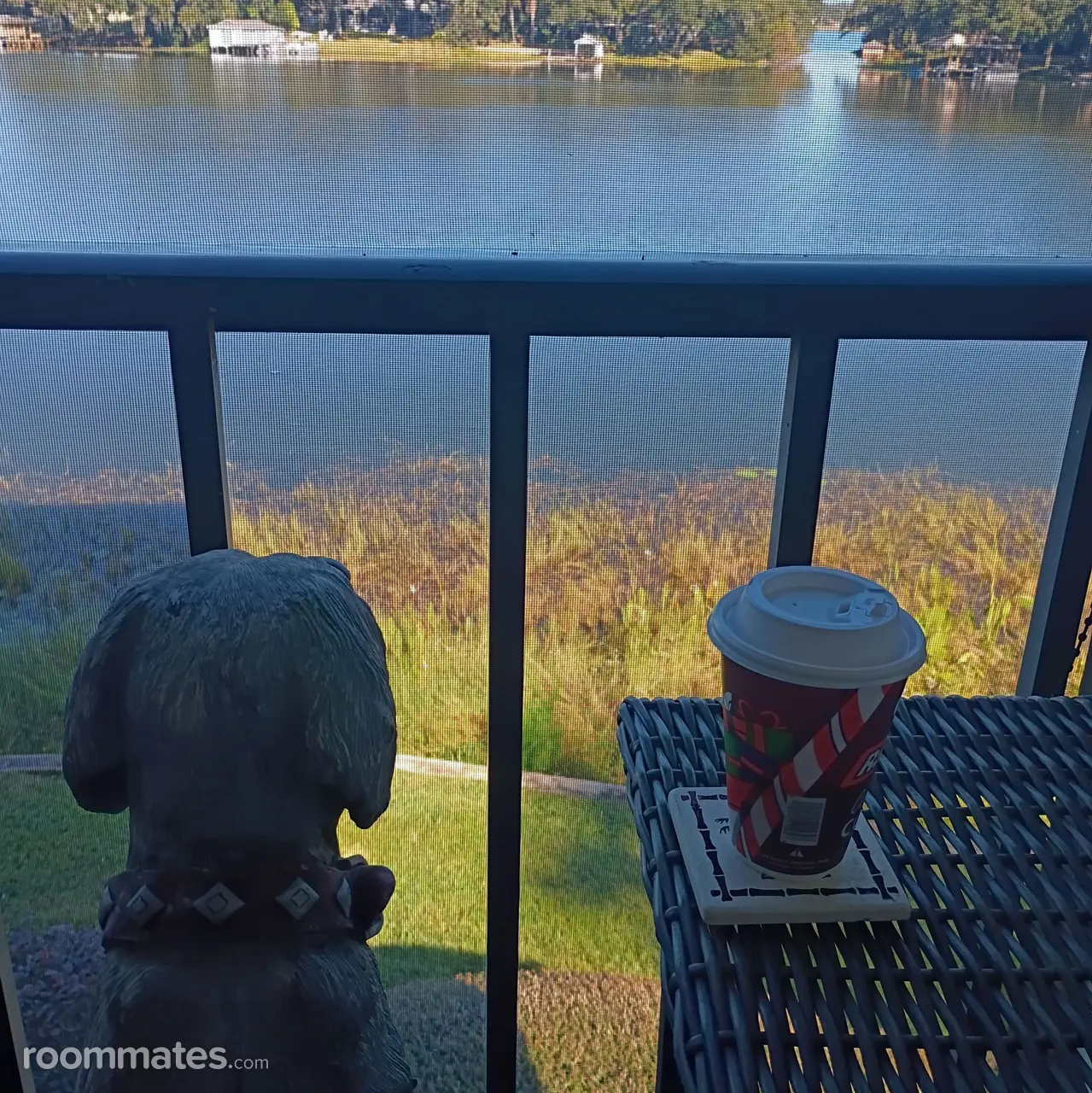 Profile photo 1 of 4