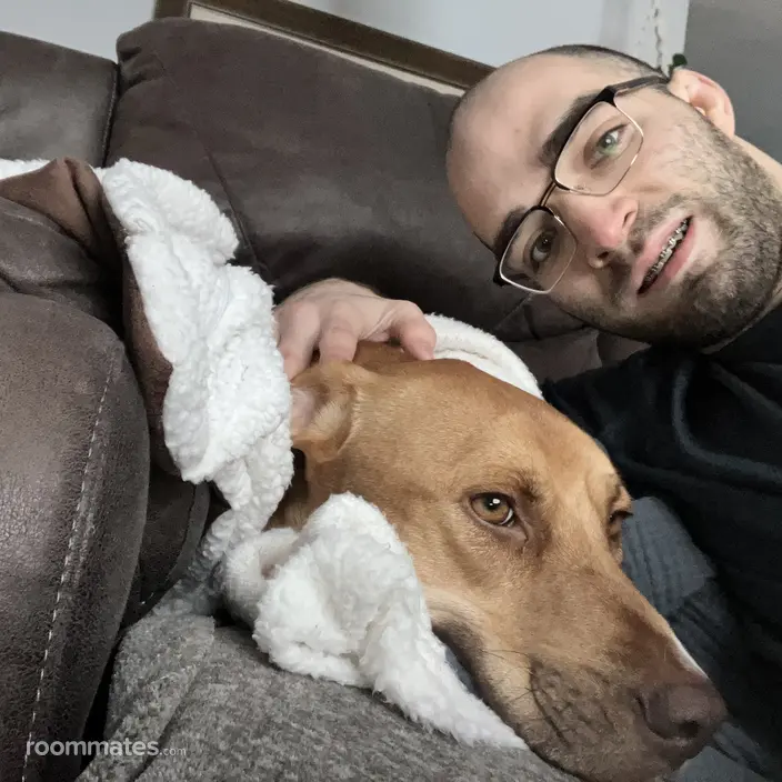 Roommate looking Glendale Heights, IL, $800