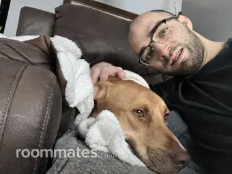 Roommate looking Glendale Heights, IL, $800