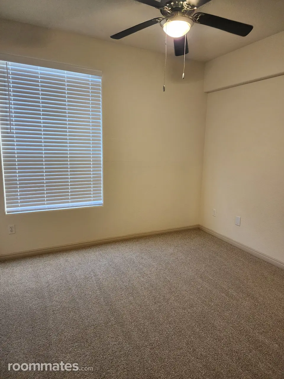 Profile photo 7 of 8