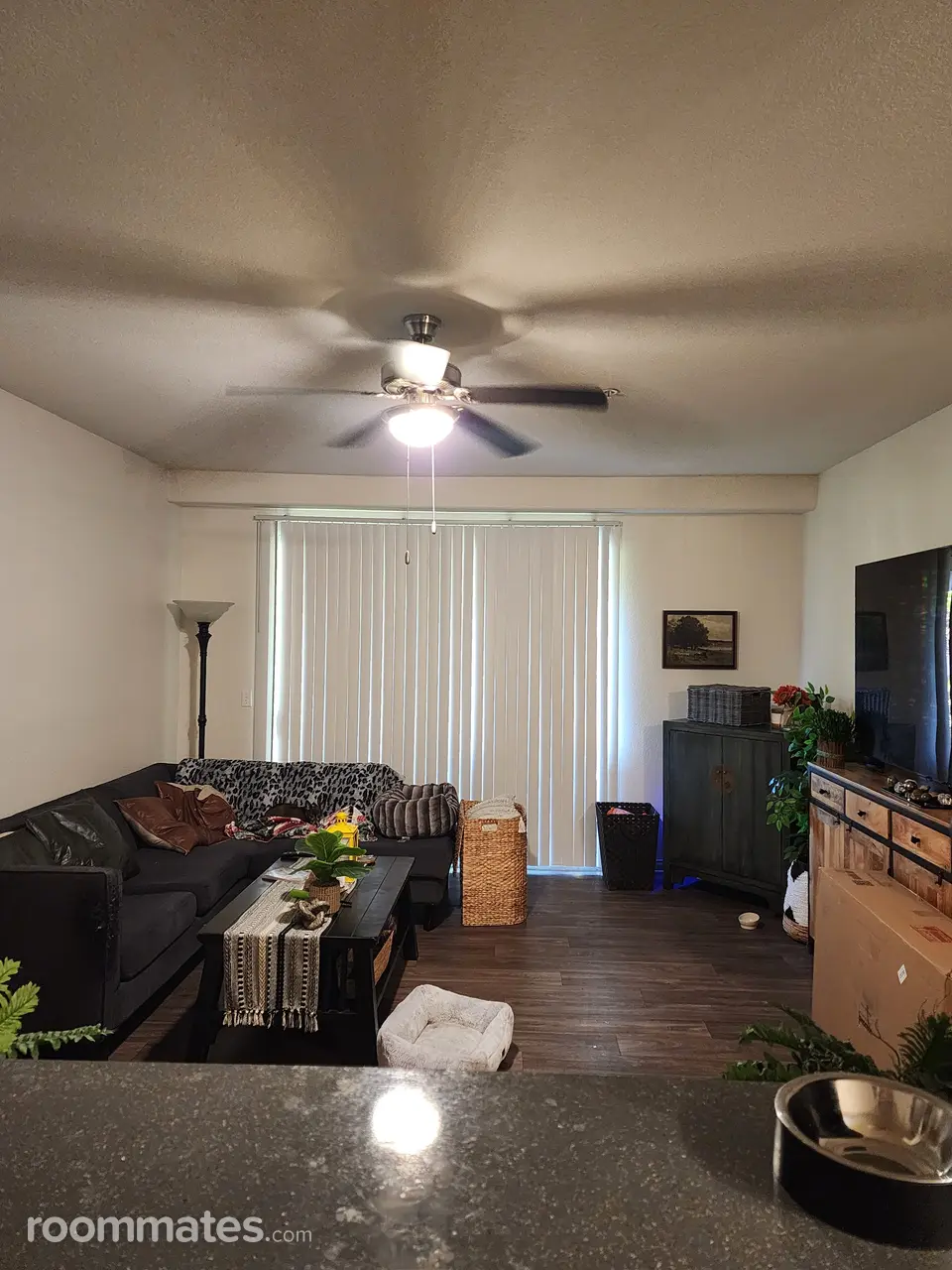 Profile photo 6 of 8