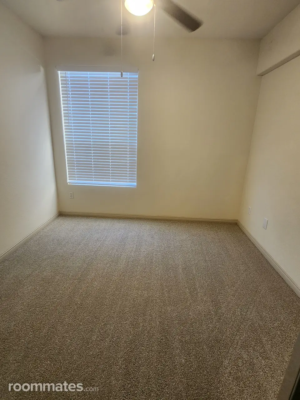 Profile photo 4 of 8