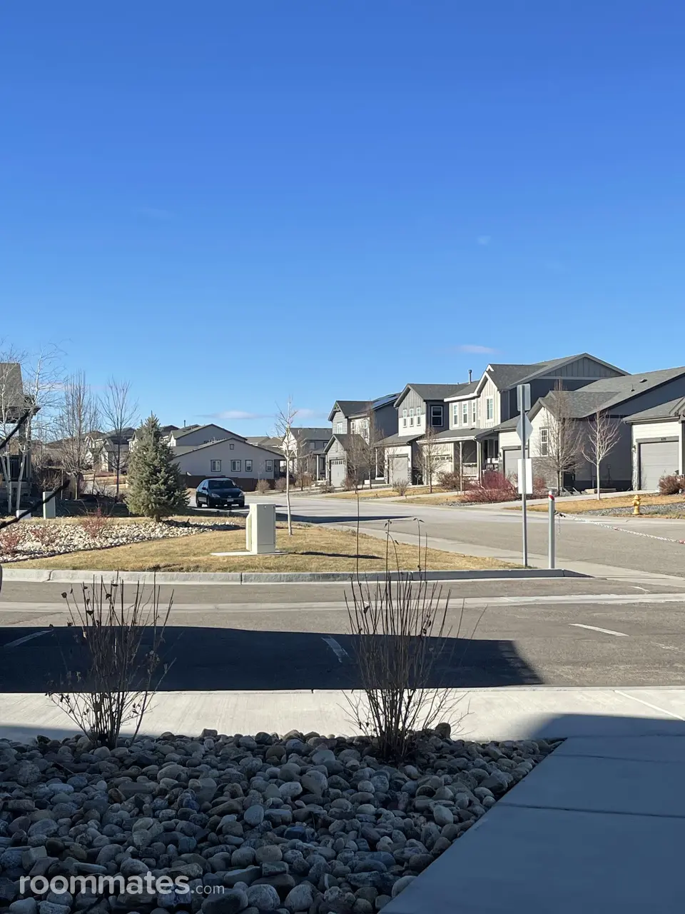 Profile photo 4 of 6