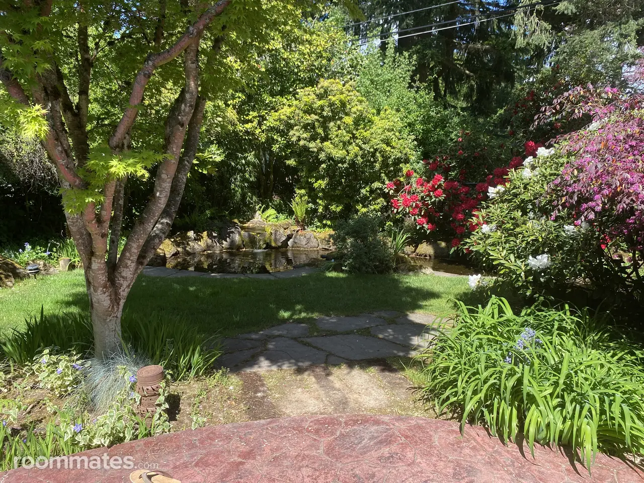 Profile photo 2 of 19