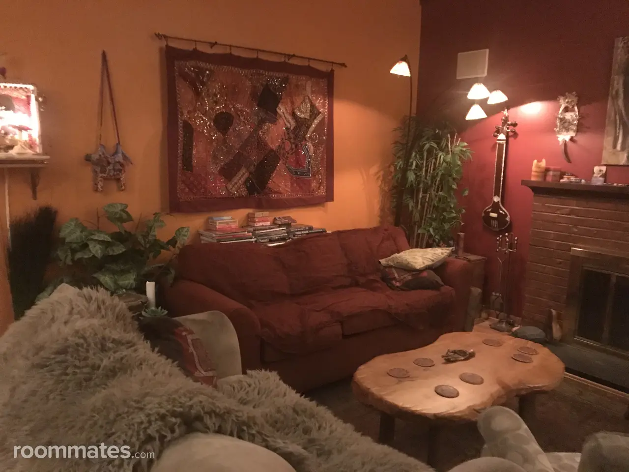 Profile photo 9 of 19